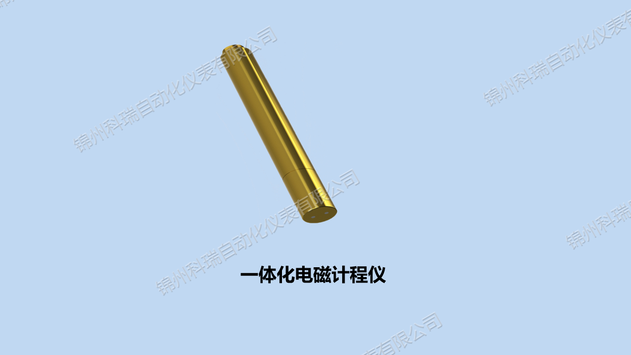 一體化電磁計(jì)程儀